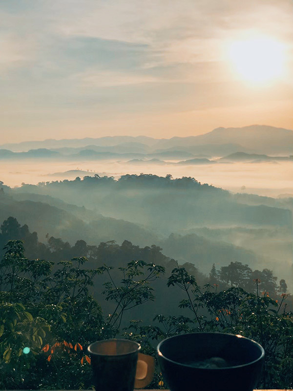 ที่พักหน้าฝน 2563