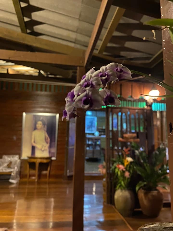 เปิ้ล จารุณี