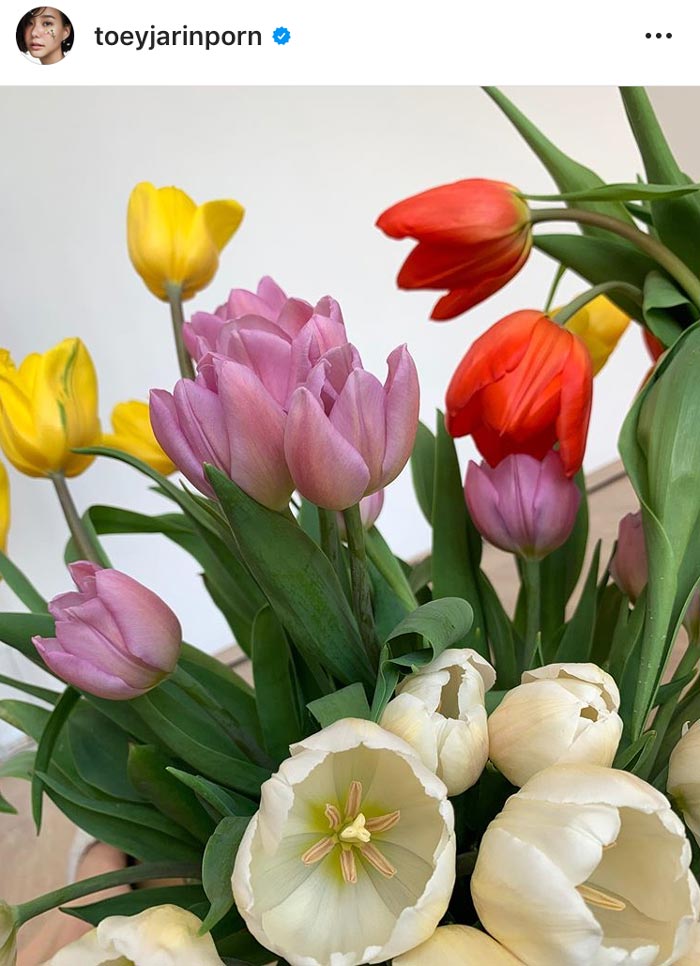 เต้ย จรินทร์พร