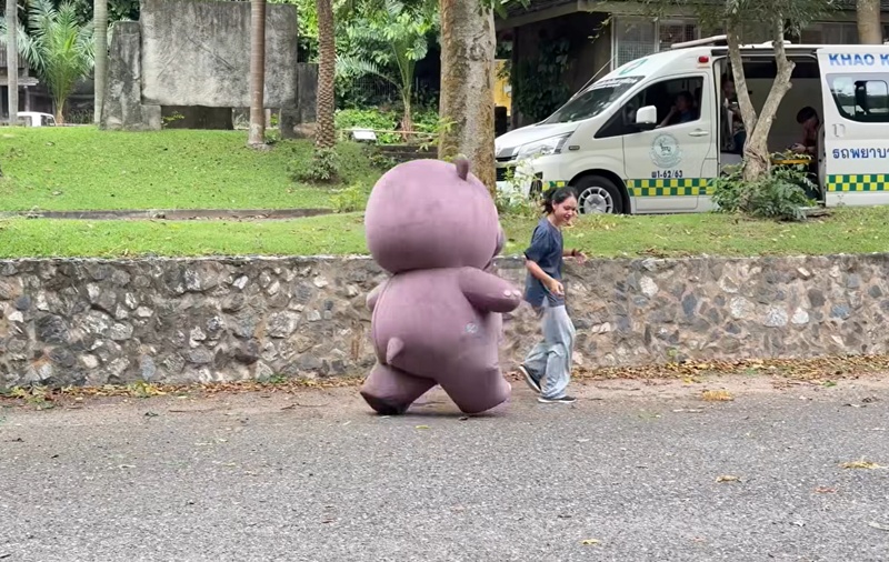 หมูเด้ง