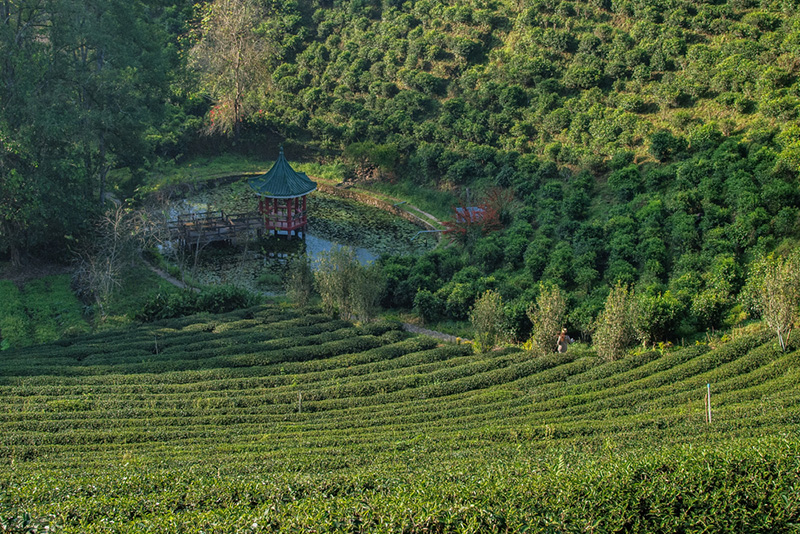 ดอยวาวี