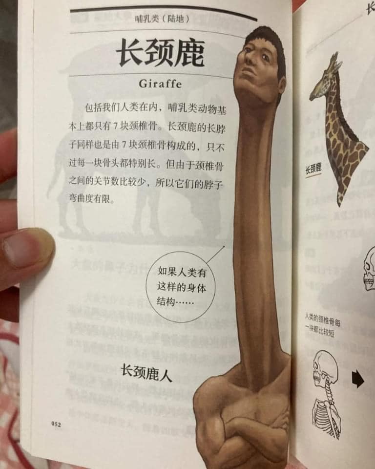 หนังสือเรียน