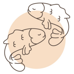 ดูดวง