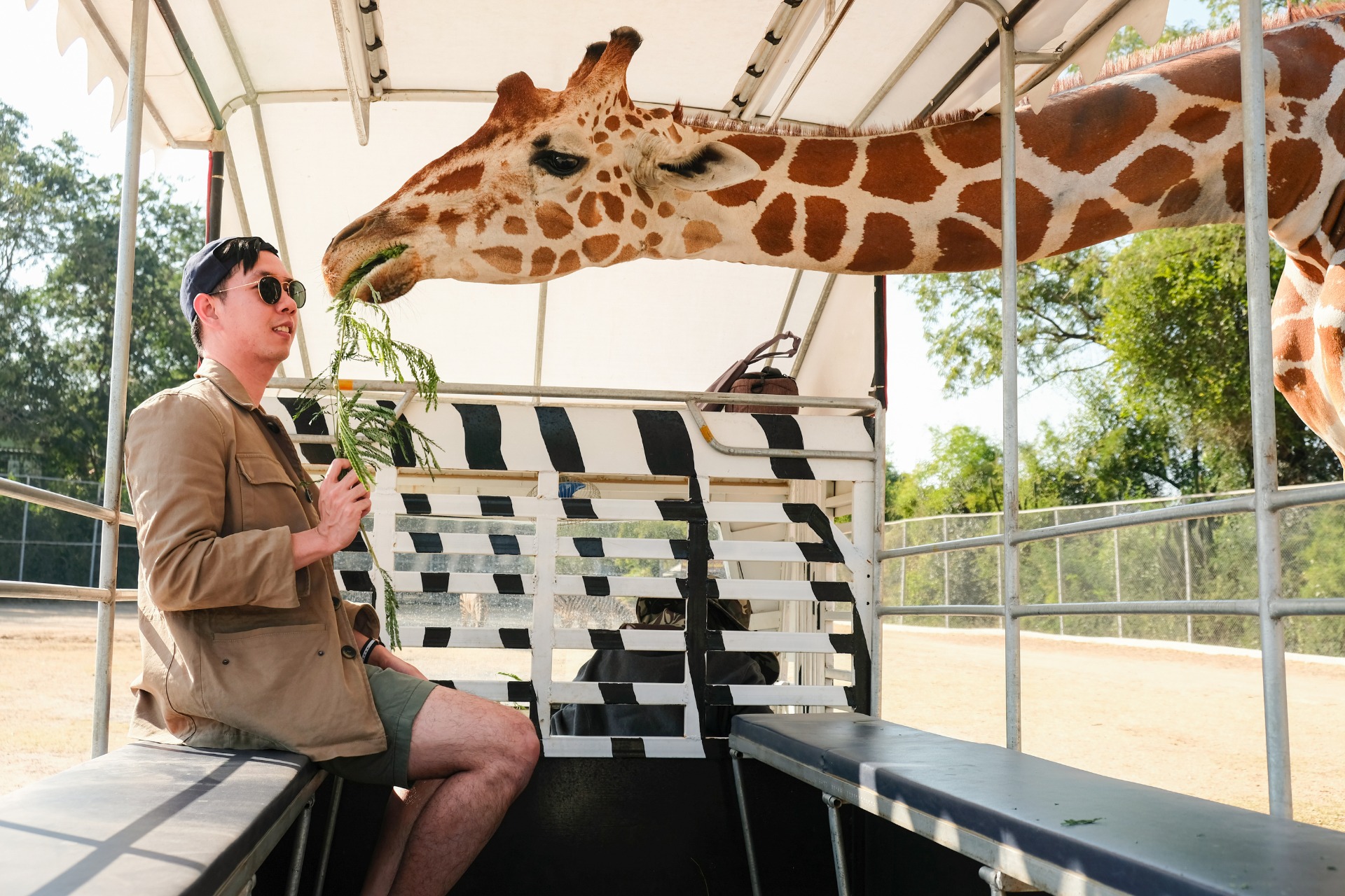 Safari Park