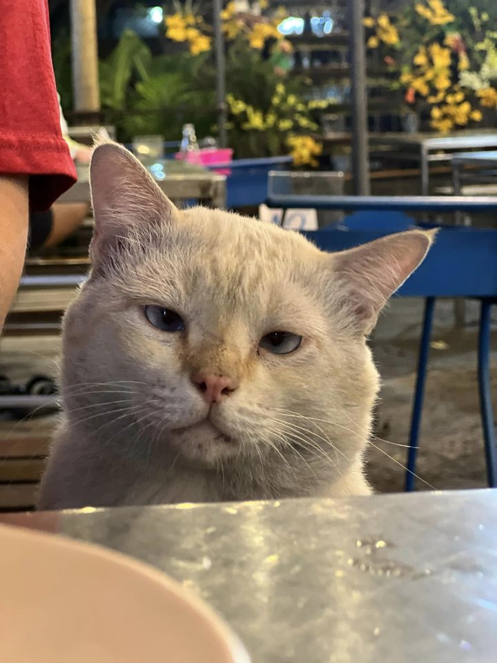 เด็กเอน