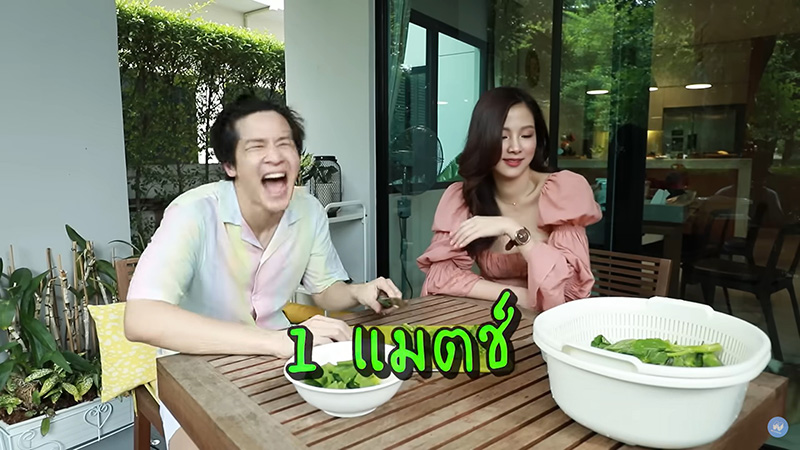 ใบเฟิร์น พิมพ์ชนก
