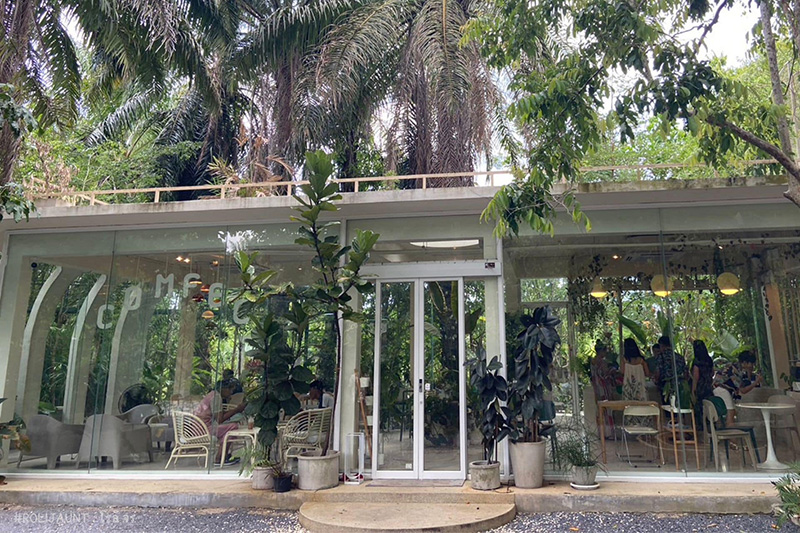 ร้านคาเฟ่ ธรรมชาติ