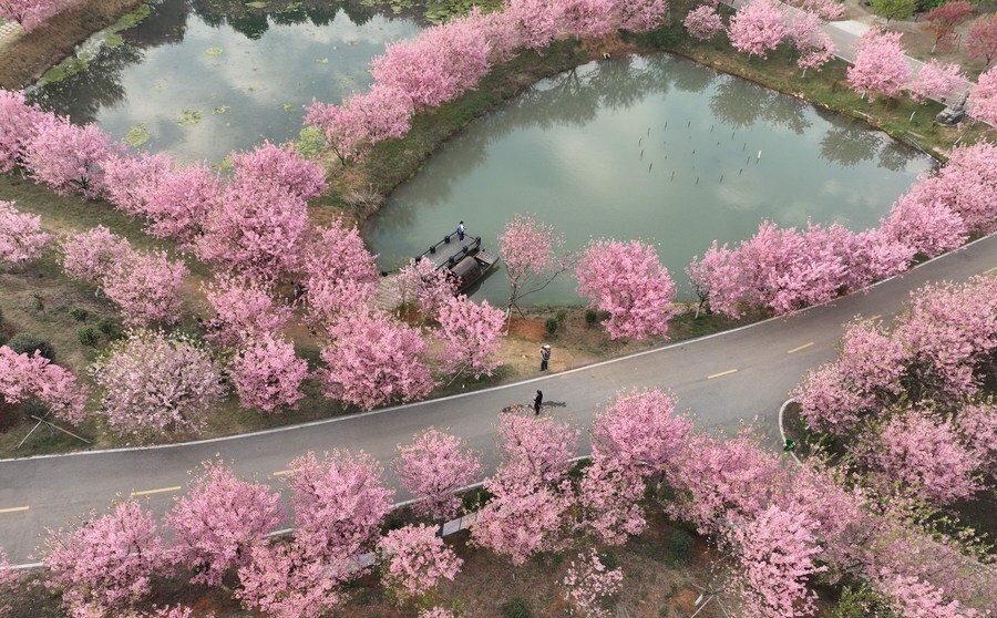 สวนอิงฮวา