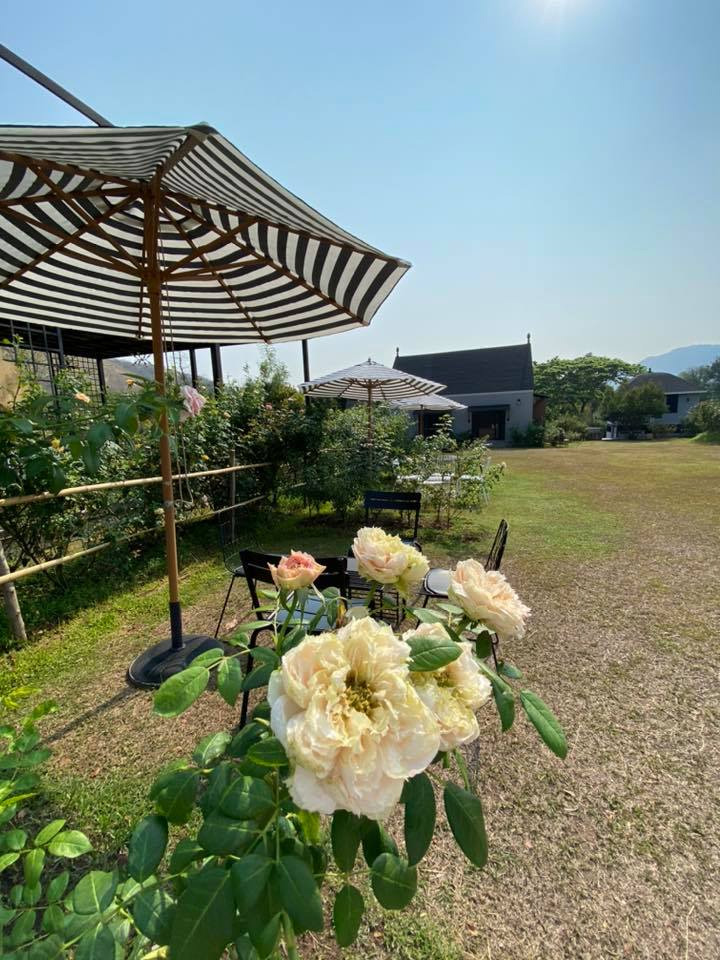 สวนดอกไม้เขาใหญ่