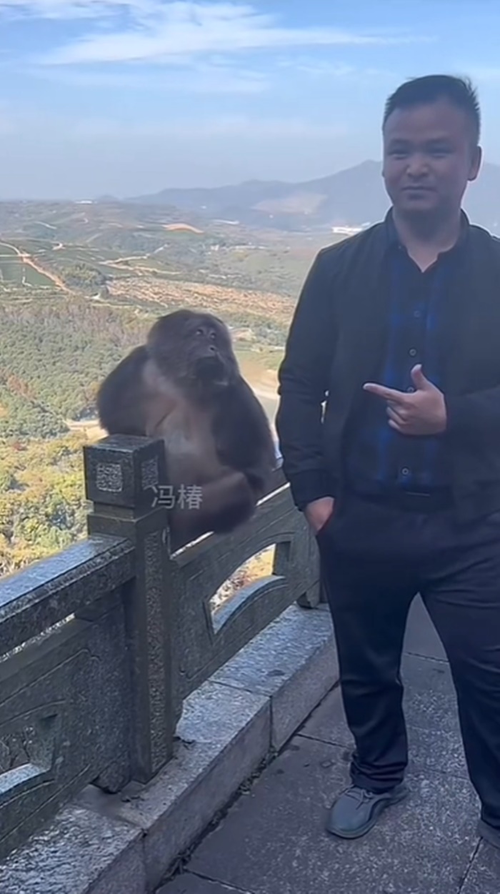 ลิงแกล้งคน