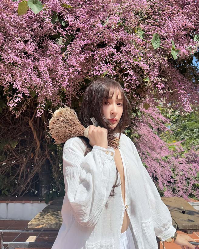 ชิปปี้ ศิรินทร์