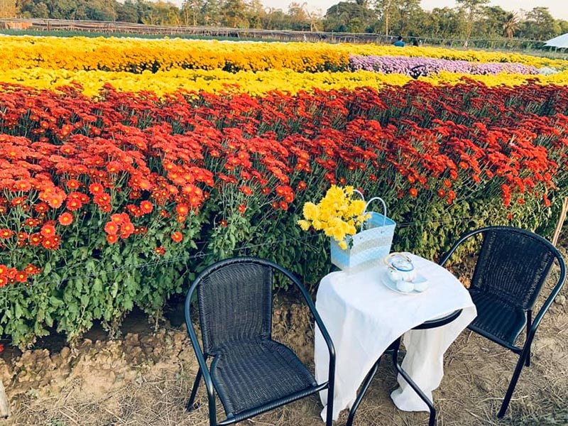 สวนดอกไม้พ่อหลวงชัชร์ เชียงใหม่