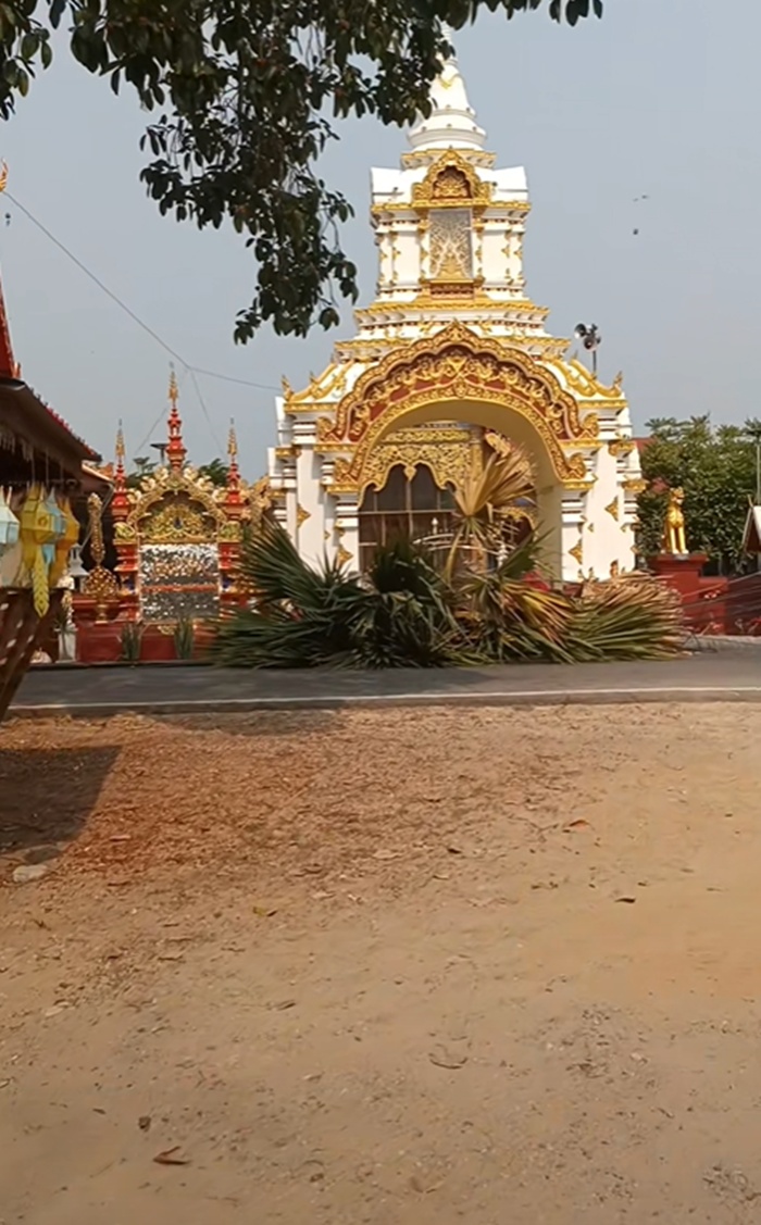 ตัดต้นตาล