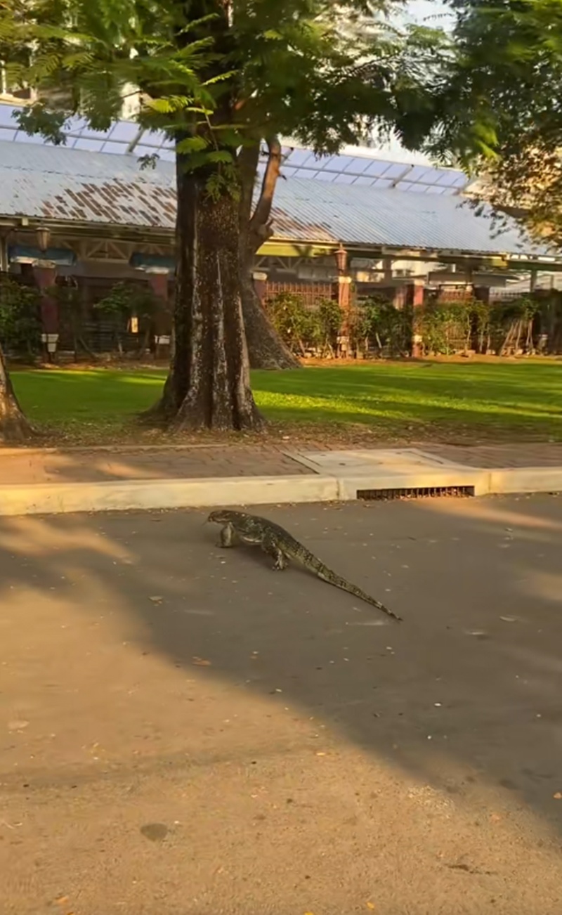 สวนลุมพินี