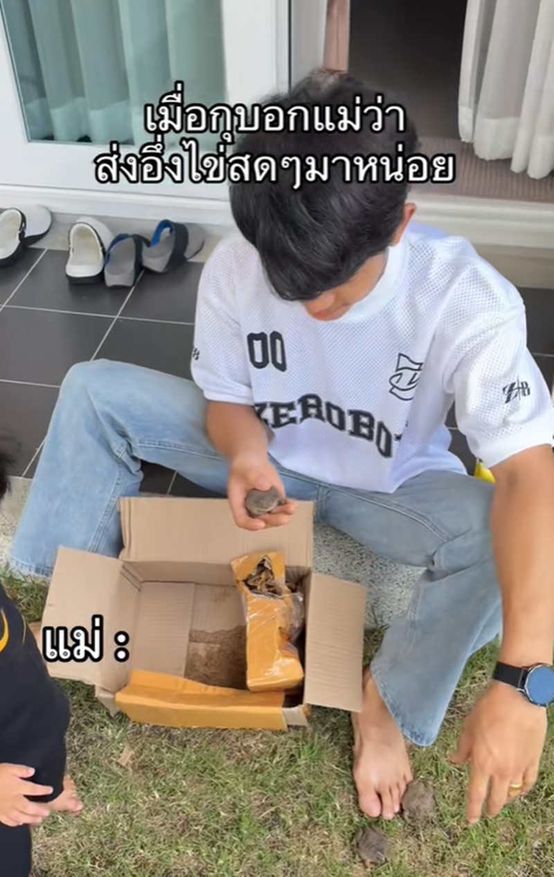 อึ่งไข่