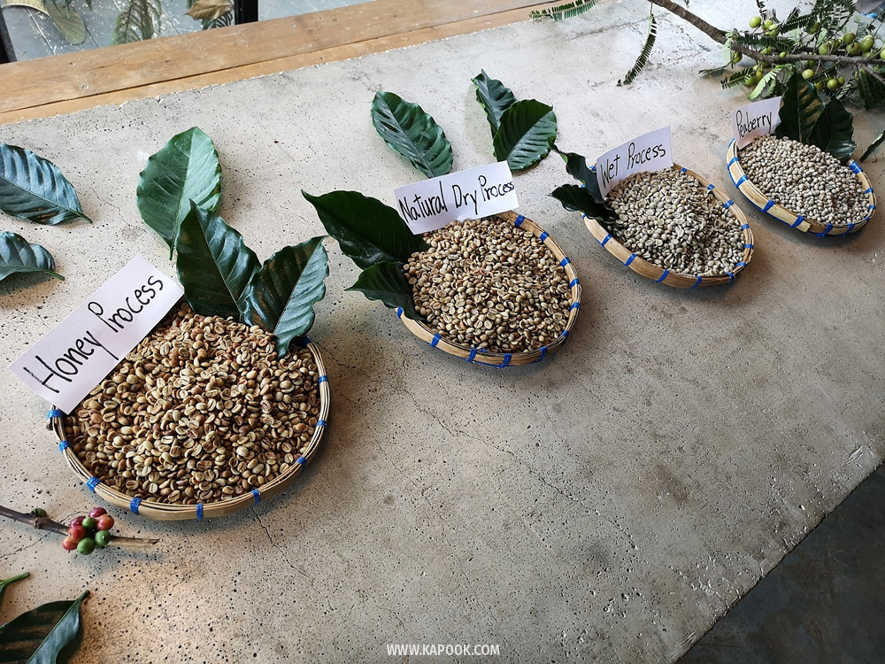 ABONZO Coffee เชียงราย