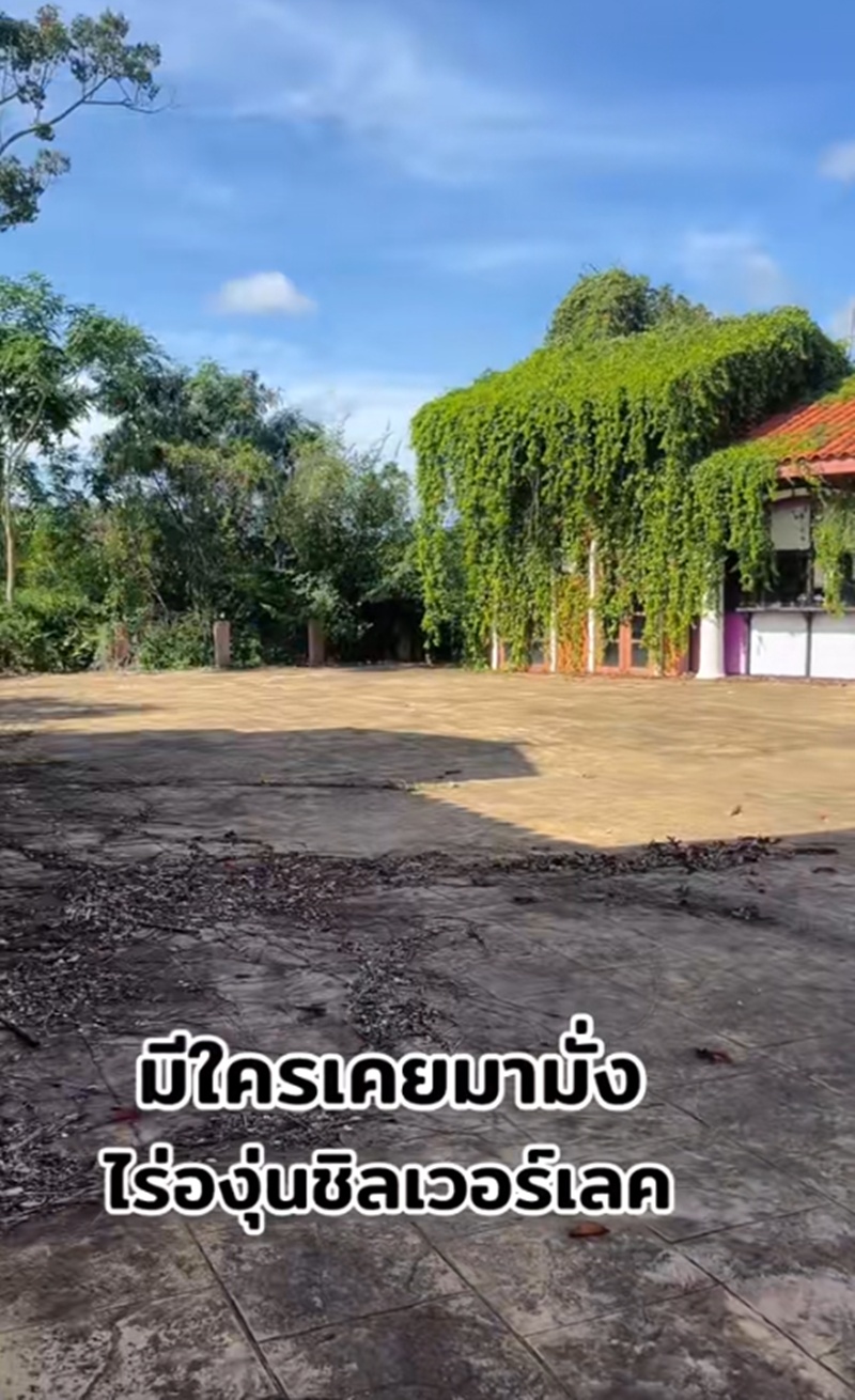 ไร่องุ่นซิลเวอร์เลค