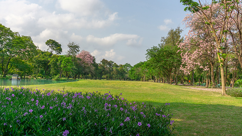 สวนรถไฟ สวนสาธารณะ ใกล้รถไฟฟ้า BTS และ MRT
