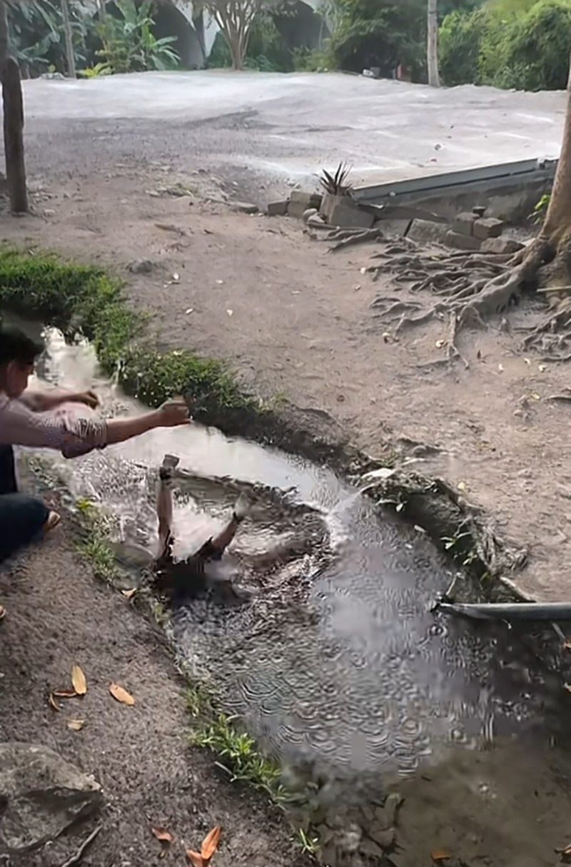 โดดข้ามน้ำ