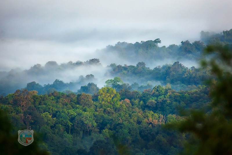 จุดชมวิวร่องกล้าฮั้นแน้ว ภูหินร่องกล้า