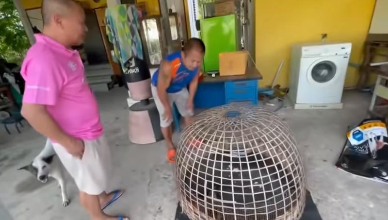 หม่ำ จ๊กมก