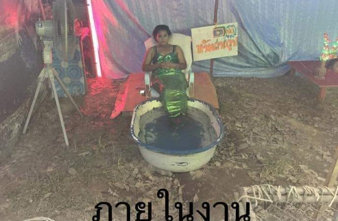 นางเงือก