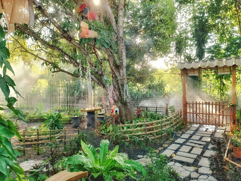 บ้านสวนชั้นเดียว แปลงปลูกผัก