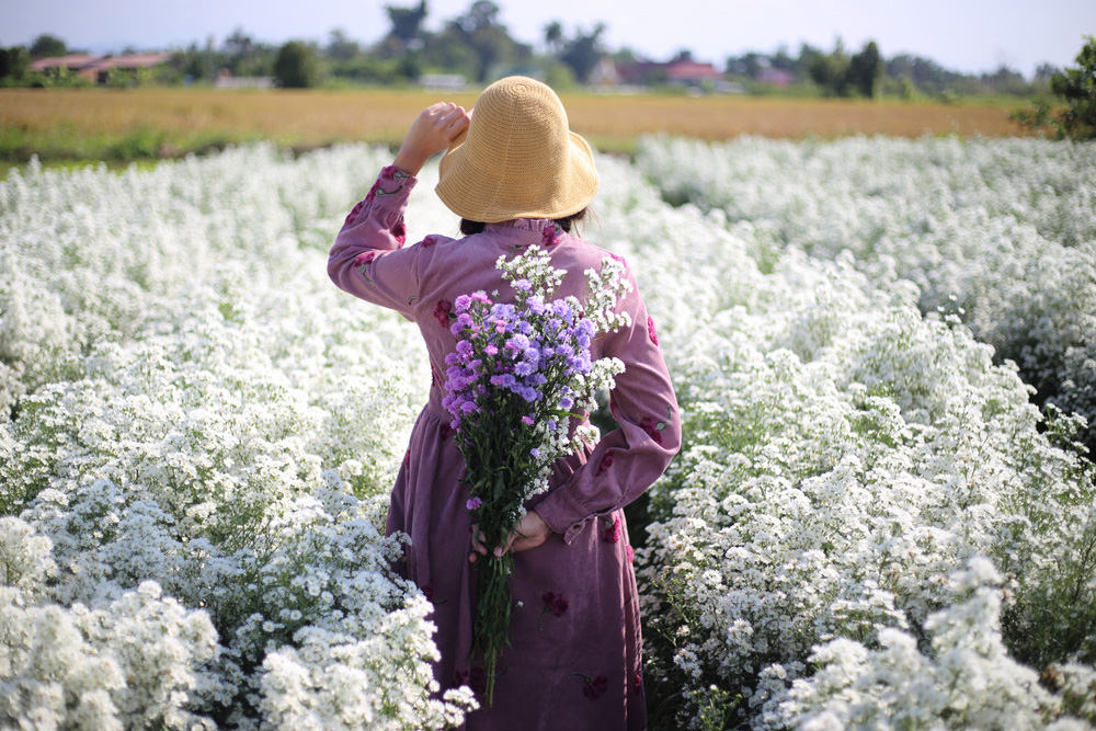 ที่เที่ยวเชียงใหม่