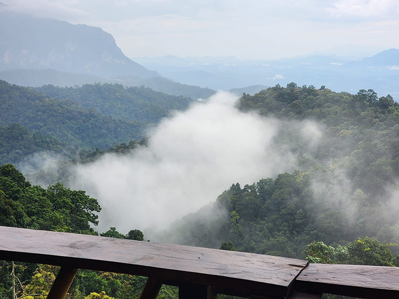 บ้านป่าโหล ทะเลหมอก