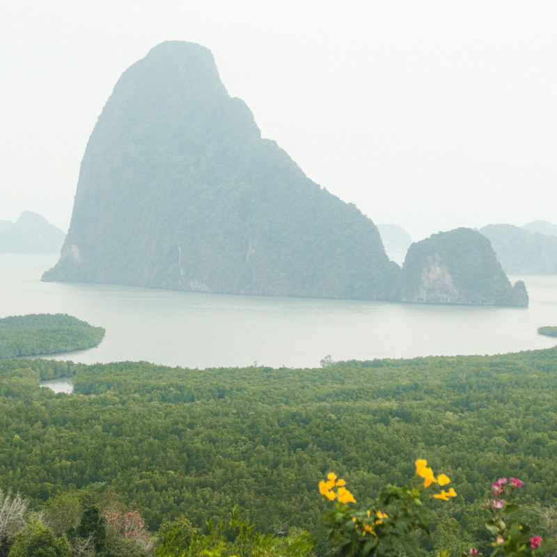 เสม็ดนางชี