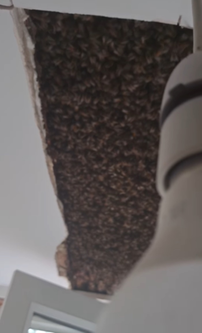 ห้องนอน