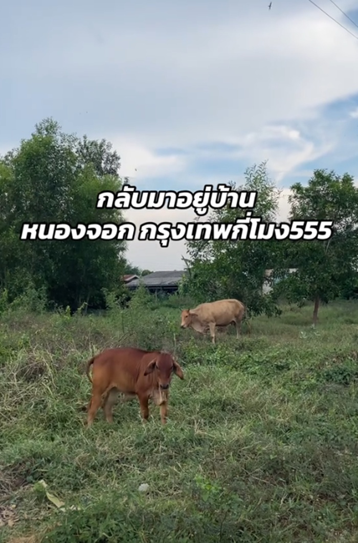 กลับบ้าน