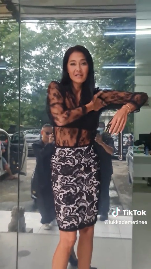 ลูกเกด เมทินี