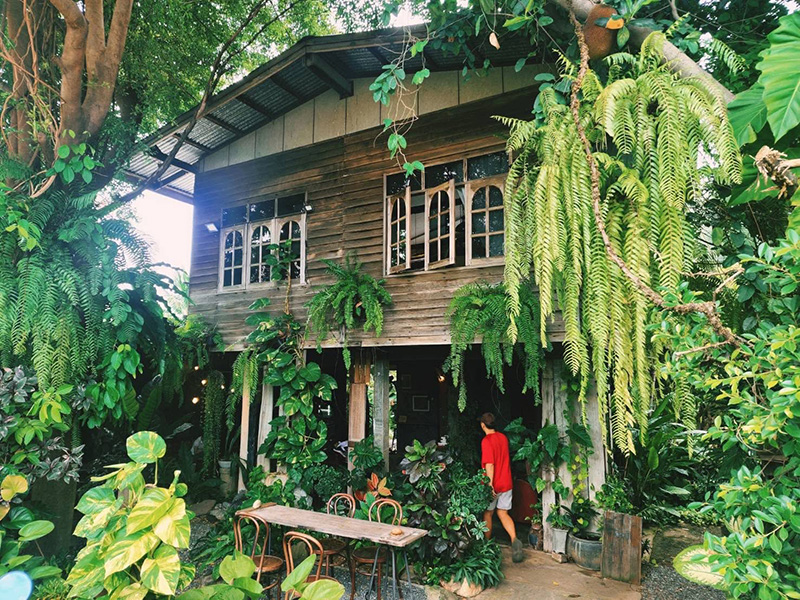 ร้านคาเฟ่หน้าฝน