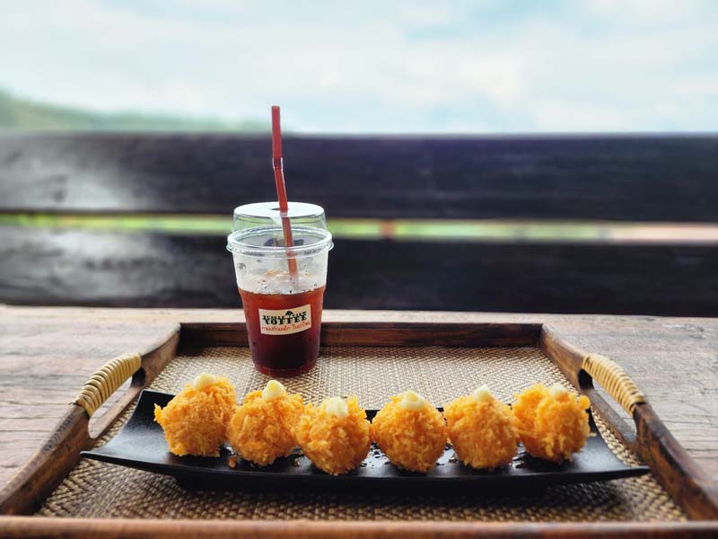 Jungle View Coffee คาเฟ่แม่แตง เชียงใหม่