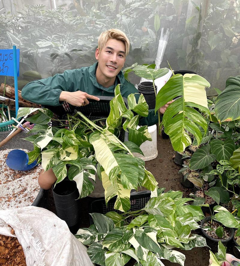 เคน ภูภูมิ