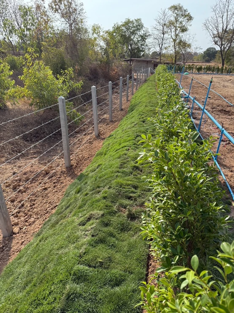 แลกการ์ด