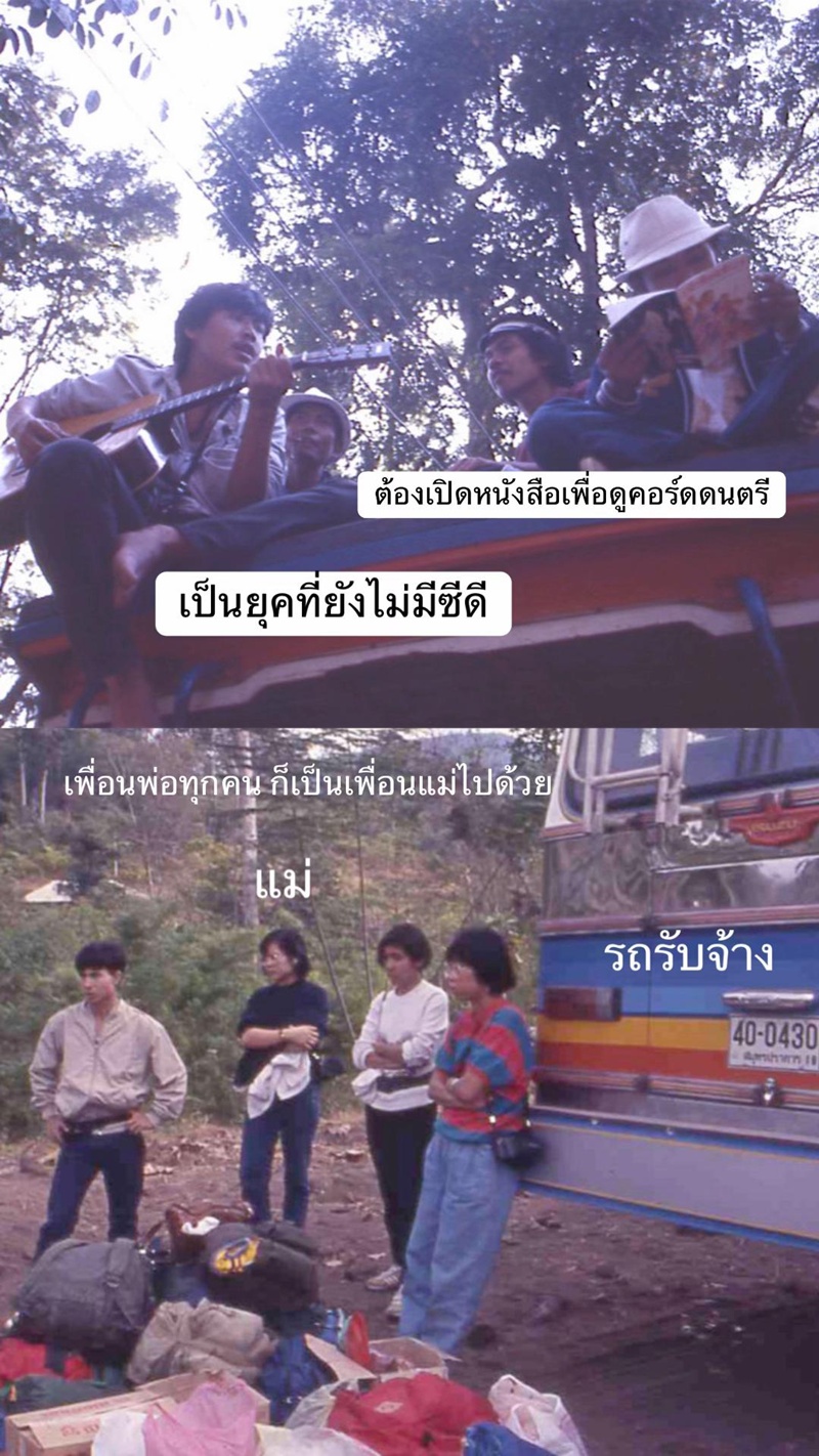 เดินป่า