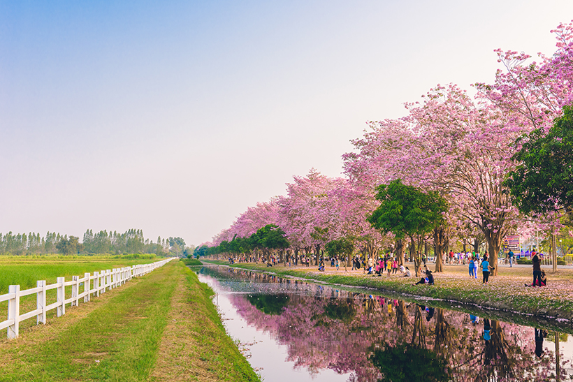 เรื่องฮิตท่องเที่ยวปี 2568 บนเว็บไซต์ Kapook.com