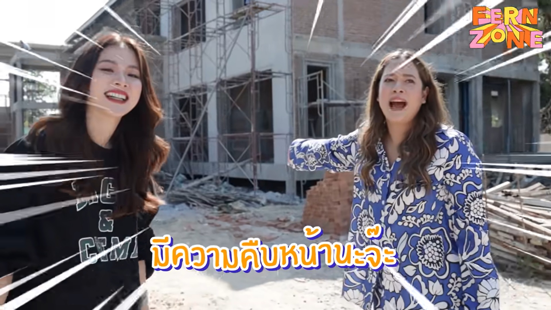  ใบเฟิร์น พิมพ์ชนก 