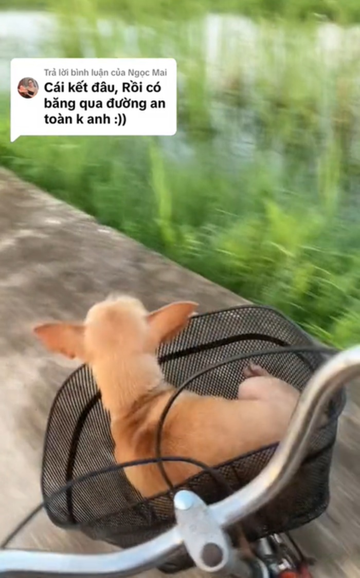 ปั่นจักรยาน