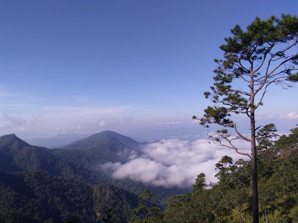 อุทยานแห่งชาติดอยเวียงผา