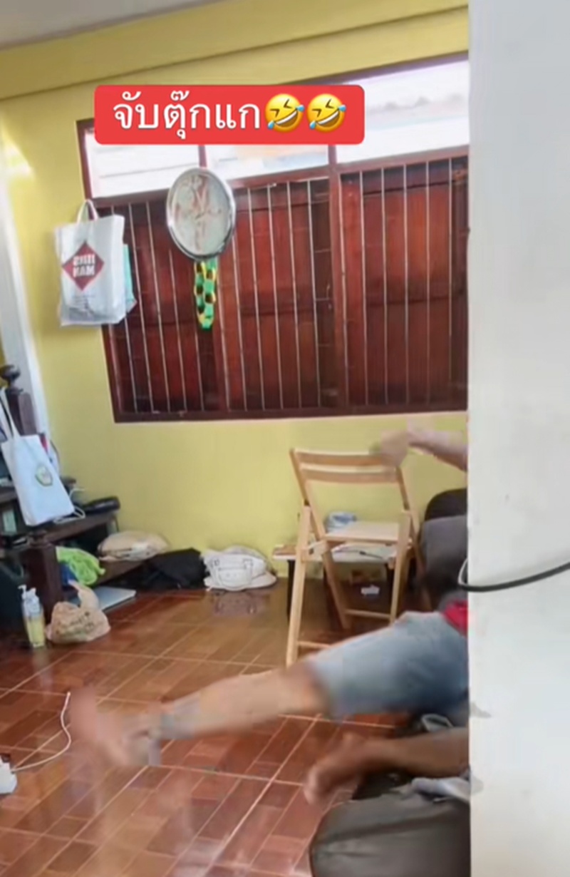 จับตุ๊กแก