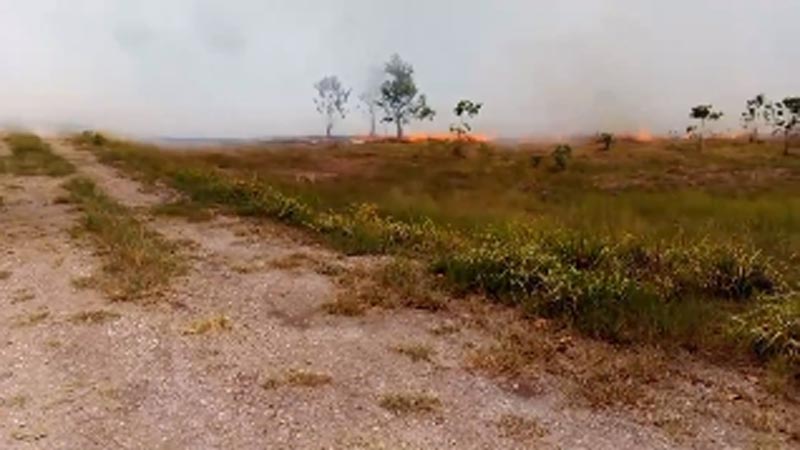 ไร่เบญจรงคกุล