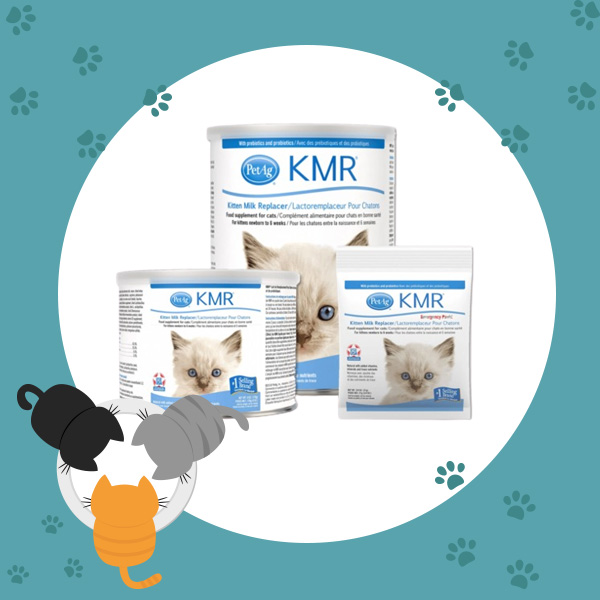 นมลูกแมว KMR Powder