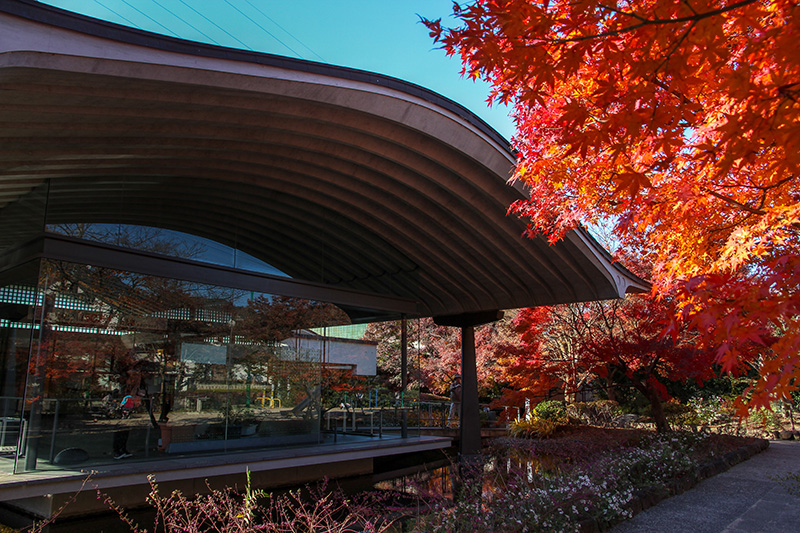 เมืองอุจิ Uji ญี่ปุ่น