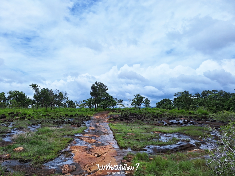 เส้นทางไปผาโสก