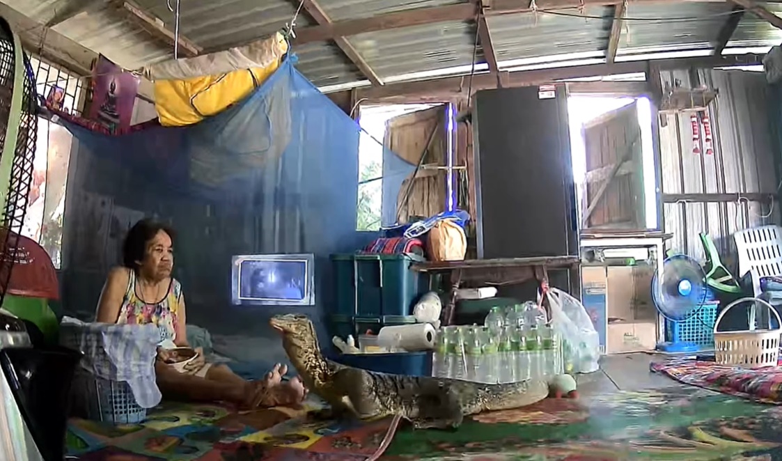 ตัวเงินตัวทอง