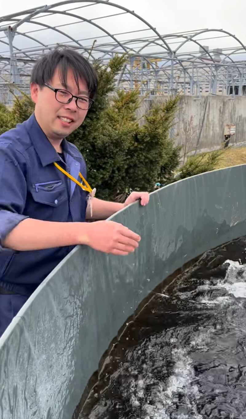 ให้อาหารปลา