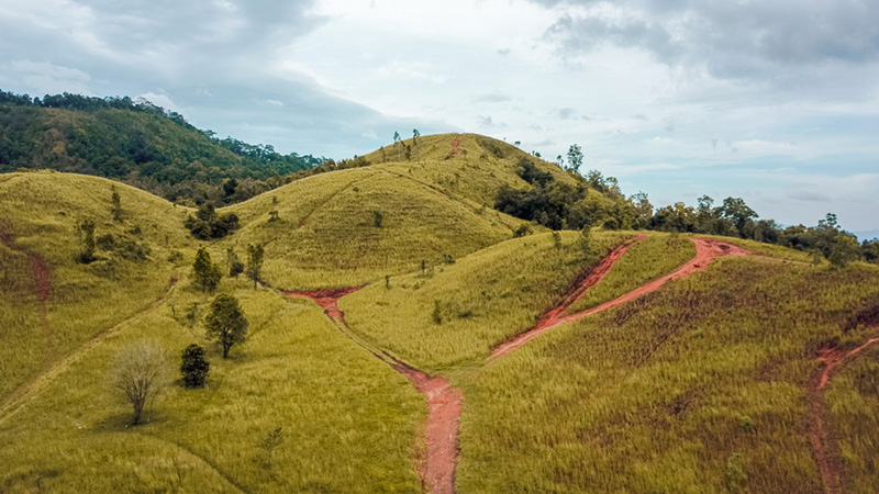 ที่เที่ยว Google Trend